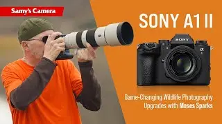 Sony α1 II vs. α1: Game-Changing Wildlife Photography Upgrades w/ Moses Sparks