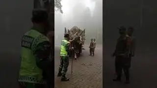 Hewan Purba ini kabarnya ditemukan diGunung Lawu? Benarkah?
