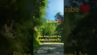Ho teri niyat h khoti man h papi...song Truth#harjai #whatsapp_status
