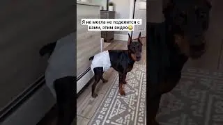 с каким видом он это делает😂 