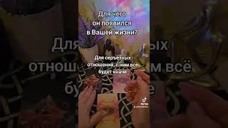 9 ноября 2024 г.