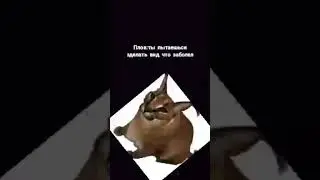 плов: ты пытаешься зделать вид что заболел и тебе не надо в школу