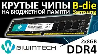 Крутые чипы на бюджетной памяти - оперативная память BIWINTECH 8GB DDR4 2666 (B14AU8G52619R