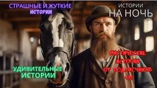 Мистические истории (озвучка) #мистика  #историиизжизни #страшныеистории #историинаночь #480