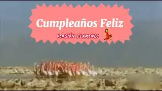 Cumpleaños Feliz en versión flamenco