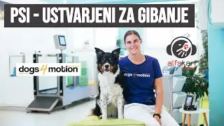 Strokovnjakinja za pasji gibalni sistem - Jana Gams - Dogs4Motion  | alfakan | podcast