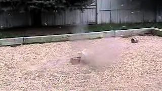 5g AP vs bunny
