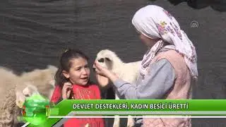 Devlet destekledi, kadın besici üretti