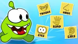 Om Nom's Sensory Organs | Learn Five Senses with Om Nom | Kids Shows Club