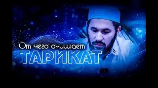 От чего очищает тарикат