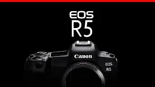 Canon EOS R5 Full Detailed Review With Sample Image in Hindi