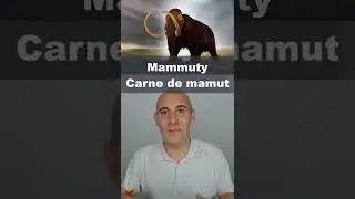 Mammuty Carne de mamut