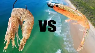 BAIT VS LURE - Prawn (Land Based) North Coast NSW, Australia