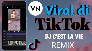 CARA EDIT VIDEO TIKTOK DJ C'EST LA VIE | VN