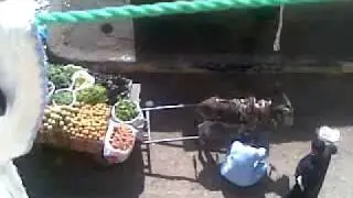 produkti