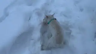 17 февраля 2022 г.