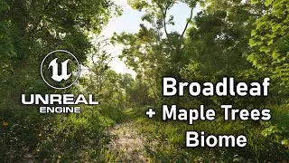 Broadleaf + Maple Trees Biome Cinematic | Unreal Engine 5.4 Ultra Realistic Wind 