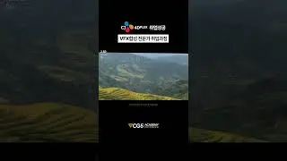 고전 영화 특유의 느낌으로 CG합성하기 #VFX