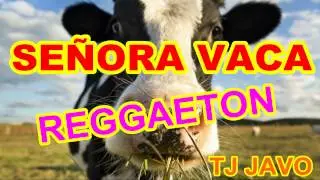 Señora Vaca REGGAETON Style - Version Reggaeton - By TJJAVO TJ JAVO