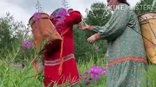 Хинты из бересты
