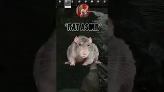 STM-9 To THERMAL!!!  