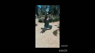 Posturas básicas de Wushu (Forma básica Wubuquan)