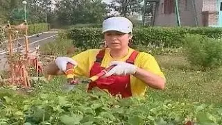 Profession 