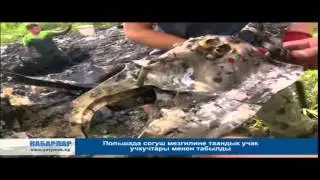 Польшада согуш мезгилине таандык учак учкучтары менен табылды