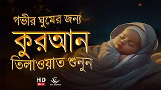 quran tilawat live