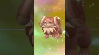 SHINY FIDOUGH to SHINY DACHSBUN in Pokemon Scarlet & Violet