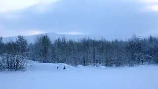 Мончегорск диктантDSC 2387