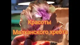 Красоты Малханского хребта🤩 Лепидолит, турмалин, альбит.