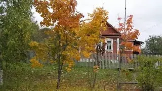 просто хорошая песня из Синевы