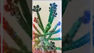 Сбор на СВОП #shortvideo #цветы #москва #growbox #маркет #ярмарка #своп #растения #обмен