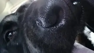Как сделать Жмых видео