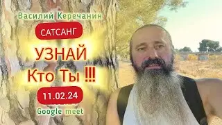 Ты Живёшь💥Жизнь Или Жизнь Живёт Тебя? -  Василий Керечанин в прямом эфире. САТСАНГ 11.02.24.
