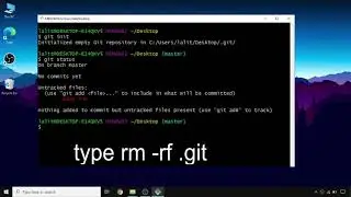 Remove initilized git