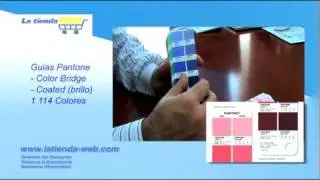 pantone color bridge
