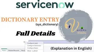 Dictionary entry in ServiceNow in English explanation