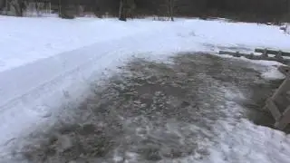 Зима в саду. 19.01.2015