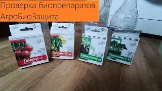 ВЫРАЩИВАЮ БИОПРЕПАРАТЫ. Проверка Агробиотехнология.