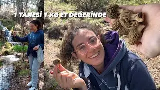 DOĞADA OLANLAR BUNLARI GÖRÜR | MANTAR AVI 🧐