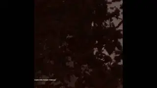 640 эпизод. если кто-то из вас упадет, мне потом это— #danganronpa #ронпа