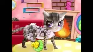 Ухаживаем за котиками