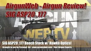 SIG ASP20 Airgun Review - A High End Breakbarrel that’s worth every penny - 50 Yard Groups!