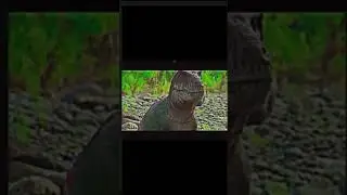 Tyrannosaurus rex edit
