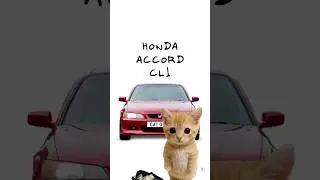 Киса покупает Honda Accord CL1🔥 Кисы объясняют😻 