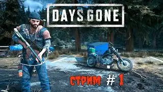 Стрим - Days Gone #1