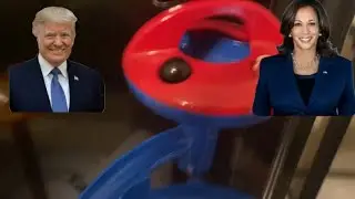 Trump VS Harris Marble Race Election Prediction