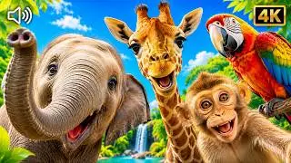 Animal Sounds for Babies and Toddlers | Different Animals and Their Sounds